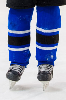 Štulpny P. N. HOCKEY